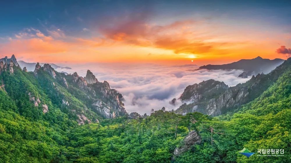 Sunrise over a sea of clouds between the rocky peaks of Seoraksan National Park in Gangwon-do