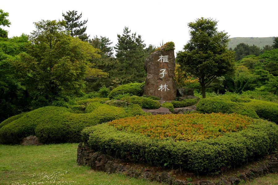 ④ Bijarim or Saryeoni Forest Trail - 1.5 hours